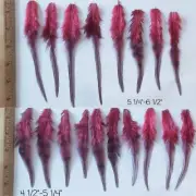 18 Burgundy Whiting Farm Hackle Feather Craft jewelry hair extensions Rooster