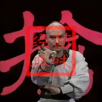 在飛比找露天拍賣優惠-精品南拳蔡李佛 20集2DVD碟 光盤 孟飛 黃杏秀 黎美嫻