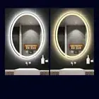 High Lumen Big Oval LED Bathroom Mirror Wall Vanity Mirror Anti-Fog Smart Touch