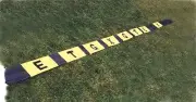 DEFENSIVE/OFFENSIVE LINE STRIP