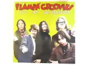 FLAMIN' GROOVIES LIVE 1971 SAN FRANCISCO LP NEW 2017 ROY LONEY CYRIL JORDAN