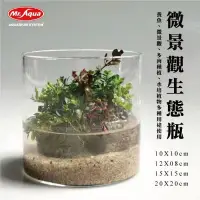 在飛比找蝦皮購物優惠-帥哥水族【MR.AQUA 水族先生】微景觀生態瓶 生態缸 魚