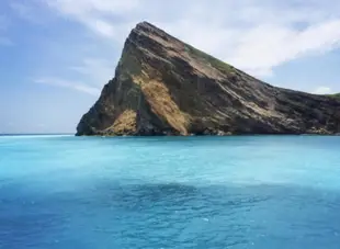 【2人同行獨家贈送防暈精油】宜蘭|龜山島半日遊|日出賞鯨・繞島・登島・401 高地多種組合可選購