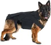 Dog Back Brace, IVDD Back Brace for Dogs, Back Bracer for Dachshund Intervertebral Disc Disease, Arthritis, Spinal Surgical Recovery, Herniated Disc