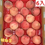 愛蜜果 誼馨園桃仙子 美國加州空運水蜜桃6入禮盒(約1.4公斤/盒)