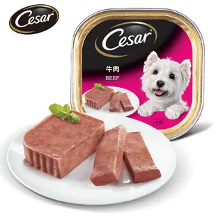 【Cesar西莎】精緻餐盒 牛肉 100g*24入 寵物/狗罐頭/狗食