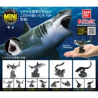 在飛比找ETMall東森購物網優惠-全套4款【日本正版】生物大圖鑑 鯊魚篇 扭蛋 轉蛋 深海鯊魚
