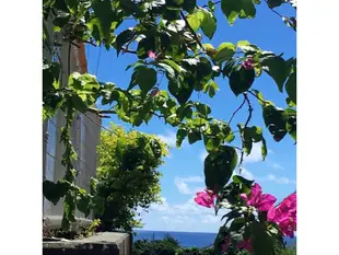 海景小旅館 UminokoiA small inn with a view of the sea Uminokoi <Love