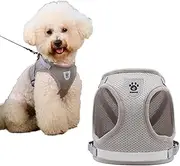 Soft Mesh No Pull Cat Harness and Lead Set for Walking, Escape Proof Puppy Kitten Vest Harnesses for Animals Rabbit/Cats Cat Collar XS Under 3lbs