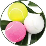 CHEM FREE! Organic Pet Toy Vegan Fetch Tennis Ball, handmade, botanical, Play!