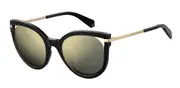 POLAROID-PLD 4067/S-2M2-5121-SUNGLASSES