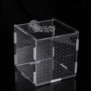 Fish Isolation Box Transparent Fish Tank Breeding Box Aquarium Incubator New