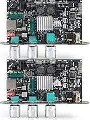 2Pcs ZK-1001U Mono Amplifier Board with TWS, 100W Power Output, Vehicle Amplifier Supports USB/AUX/Bluetooth,Wide Voltage Input DC9-24V