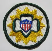 RARE Girl Scout 1963-1974 COMMUNITY ACTION SENIOR INTEREST PATCH Shield Badge 2"