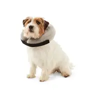 Inflatable Collar - Small to Medium
