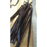 在飛比找蝦皮購物優惠-大溪地品種 香草莢 13cm~17cm 50克 印尼屬新幾內
