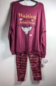 Harry Potter Pajamas 2 Piece Set Size XL Stretch Wizarding World Cozy Lounge NEW