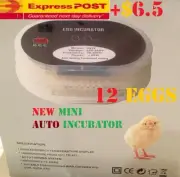 ACCURACY Digital Automatic Mini 12 Eggs Incubator Poultry Turner Thermometer Kit