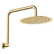 Fienza Kaya Gooseneck Wall Shower Arm & Head Set Urban Brass 411125UB-A
