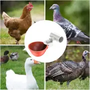 16Pcs Chicken Waterer Cup Set with Tee Fitting Poultry Water Cup Automatic qimHV