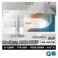 在飛比找蝦皮商城優惠-MSI 微星 Modern AM242TP 24吋 12M-