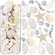 Wenqik Potpourri Seashell Vase Filler Mixed Sea Shells Bowl Filler Seashells Assorted Frosted Sea Glass Block Conch Starfish Dried Flower for Summer Beach Party Decorations Home DIY Crafts(Classic)