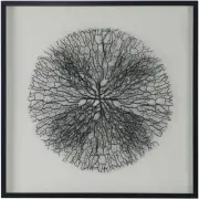A&B Home 82895 Carlos Black and White Wall Art