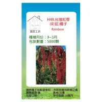 在飛比找momo購物網優惠-【蔬菜工坊】H49.台灣紅藜種子.未脫殼(彩虹)