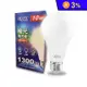 【APEX】10W LED燈泡 高流明 全電壓 E27