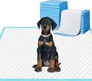 Dog and Puppy Pee Pads, 24x24-In, 40 Count,Puppy Training Pads, Absorbent Dog Pee Pads for Indoor ,Blue & White(L Size)