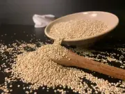 Toasted Organic Quinoa 18 Lbs. (2- 9 Lb bags) Bulk Pricing