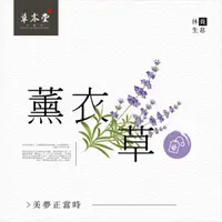 在飛比找松果購物優惠-薰衣草花茶 (10折)