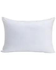 Allied Home Claritin Allergen Barrier Pillow Protector Set