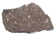 Meteorite NWA 13309 LL3.15 CHONDRITE 46.7 gram Type 3 meteorite