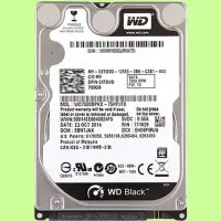 在飛比找Yahoo!奇摩拍賣優惠-5Cgo【權宇】全新五年保 WD黑盤硬碟750G 750GB