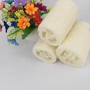 4Pcs Natural Loofah Luffa Loofa Bath Body Shower Sponge Kitchen Cleaing Scrubber Scrub Pad Loofah Bath Towel