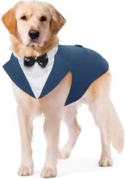 Kuoser Dog Tuxedo Suit and Bandana Set, X-Large (pack of 1), Royal Blue