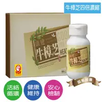 在飛比找ETMall東森購物網優惠-康建 牛樟芝膠囊(60粒/盒)