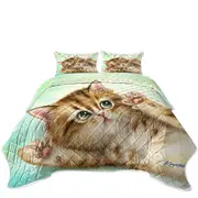 Adorable Kittens Art Relaxing Kitty Cat Coverlet