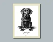 Personalized CHOCOLATE/BLACK LABRADOR Puppy Dog Photo Picture 8x10 11x14 (P3B)