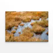 Waterlogged Grassland in summer Print 100% Australian Made 90 x 60cm (Stretched)