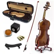 4/4 Antique Style Professional Handmade VN404 Violin Kit w Case Bow Rosin Mute