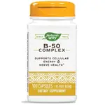 【喵喵喵】貓咪 自製貓食添加 NATURE'S WAY B-50 COMPLEX 維他命 維生素B群