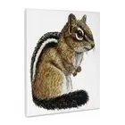 3dRose, Chipmunk, Museum Grade Canvas Wrap