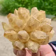 278G New Find yellow PhantomQuartz Crystal Cluster MineralSpecimen
