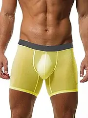 [Linjinx] Men's See Through Underwear Bulge Pouch Low Rise Trunks Elastic Waistband Boxer Briefs