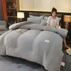 New Double-sided Milk Wool Lamb Wool and Thickened Winter Quilt Spring Autumn