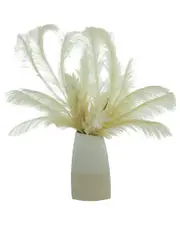 Creative Displays Pampas And Plume Arrangement In A Ceramic Vase