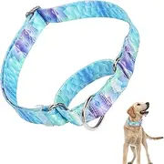 Martingale Collar for Dogs, Blue No Escape Training Dog Collar for Small Medium Dogs, with Adjustable Soft Nylon Dog Collars, Great for Whippets, Greyhounds and More (M)