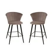 HomeStar Set of 2 Calliope Velvet Fabric Modern Kitchen Counter Bar Stool - Grey